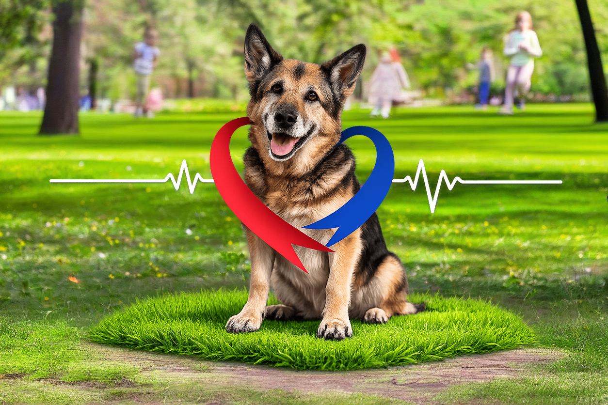 d6de1dde bc33 4131 b6a0 1045019312c5