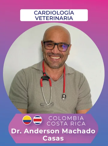conferencista vet evolution 2026 ce dr. anderson machado casas v2 360x485 1