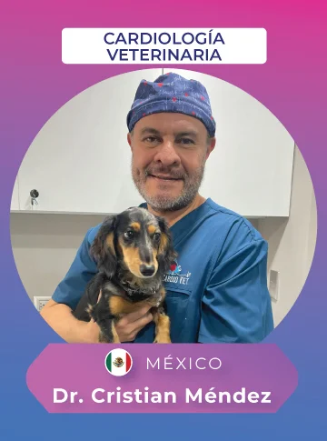conferencista vet evolution 2026 ce dr. cristian mendez 360x485 1