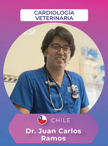 conferencista vet evolution 2026 ce dr. juan carlos ramos 360x485 1