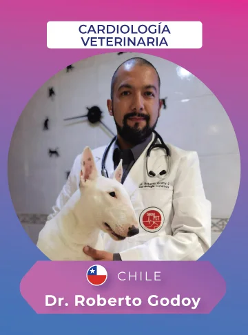 conferencista vet evolution 2026 ce dr. roberto godoy 360x485 1