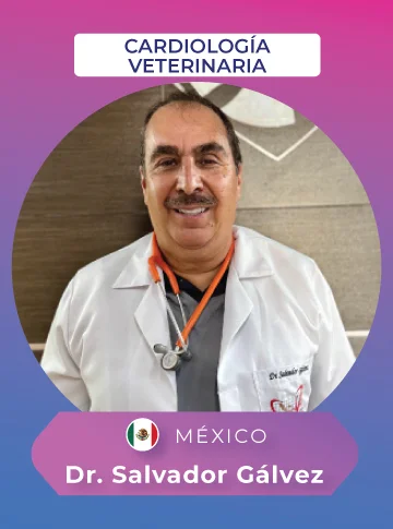 conferencista vet evolution 2026 ce dr. salvador galvez 360x485 1
