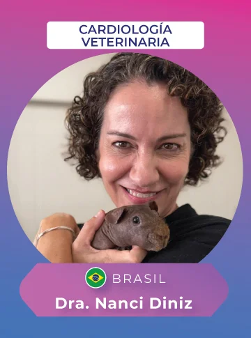 conferencista vet evolution 2026 ce dra. nanci diniz 360x485 1