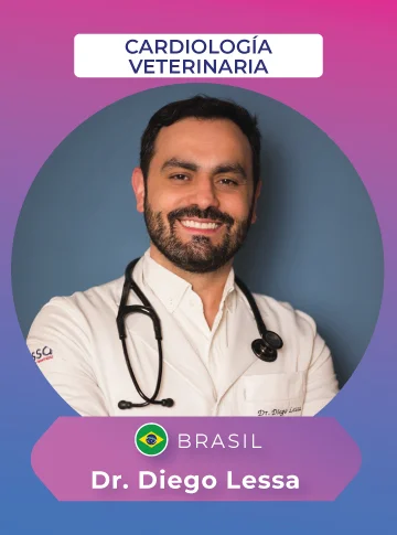 diego lessa