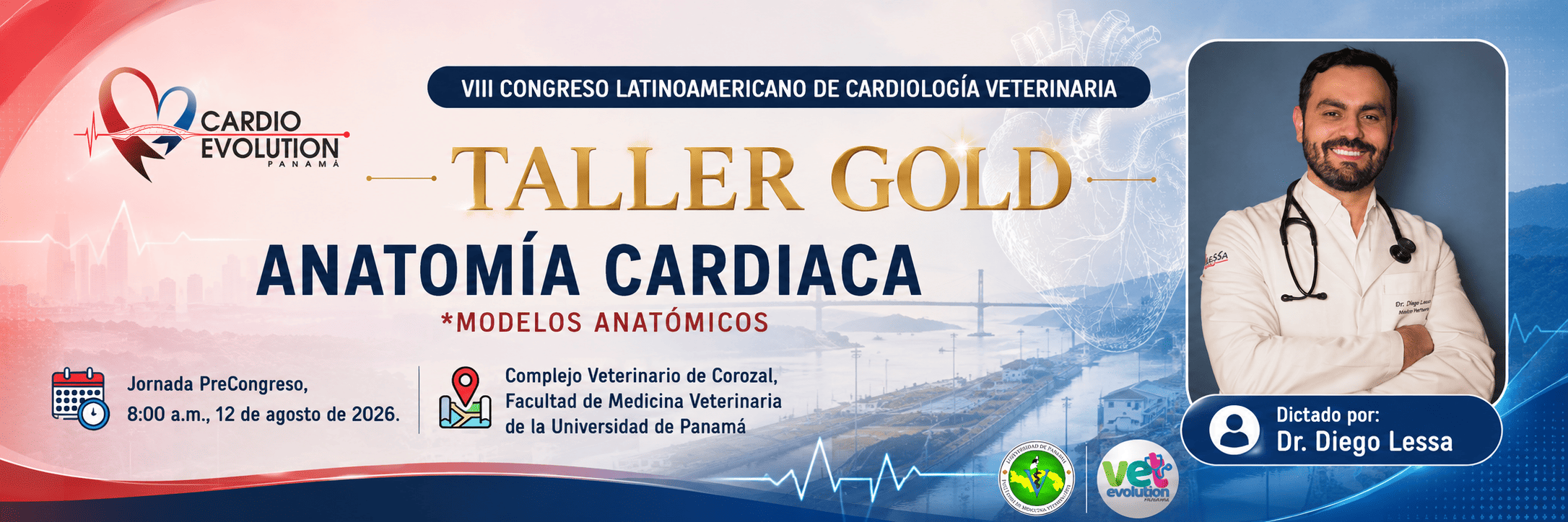 taller gold anatomia cardiaga dl