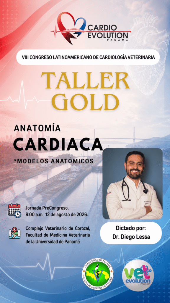anatomia (1)